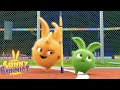 SUNNY BUNNIES - Sports Games | Season 1 | Cartoons for Children