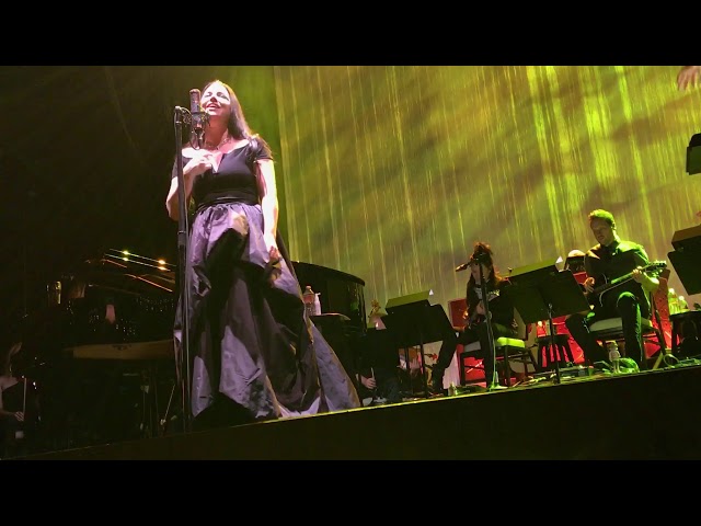 Evanescence - Imperfection [Live Debut] - 10.14.2017 - Pearl Concert Theater - Las Vegas - FRONT ROW class=