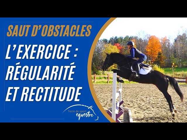 Saut d'obstacles cheval : dossier complet ! Partie 3