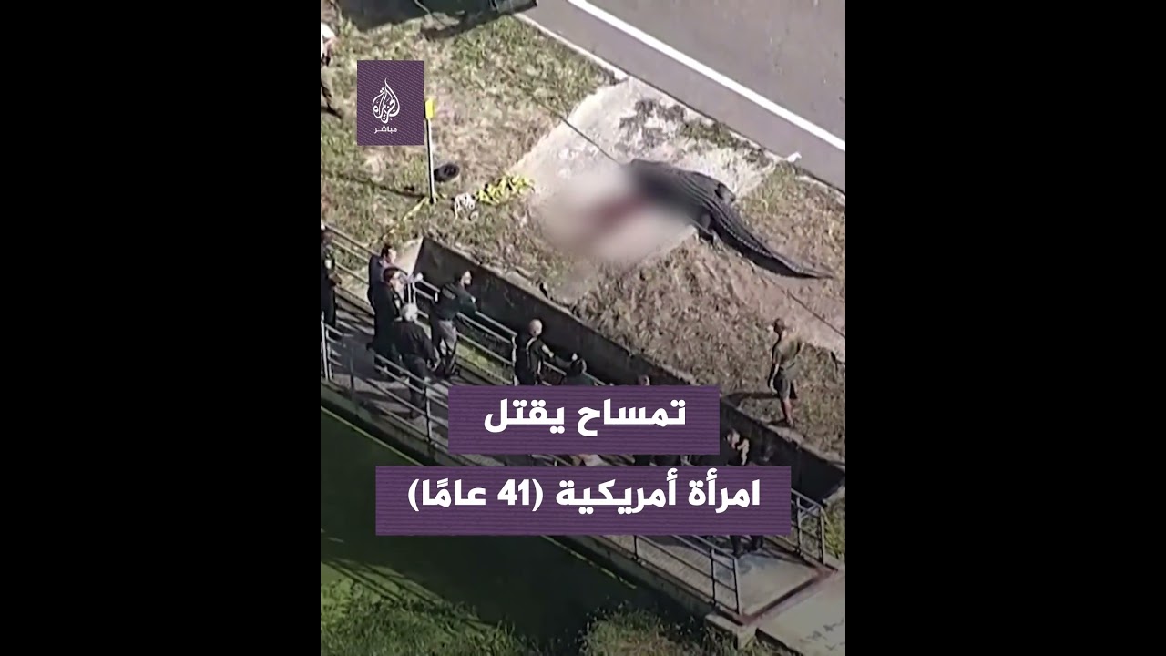 الشرطة الأمريكية تخرج امرأةً أشــلاء من بين فكّي تمساح