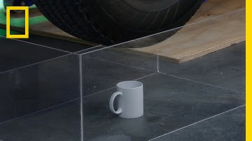 Built Cup Tough | Duck Quacks Don