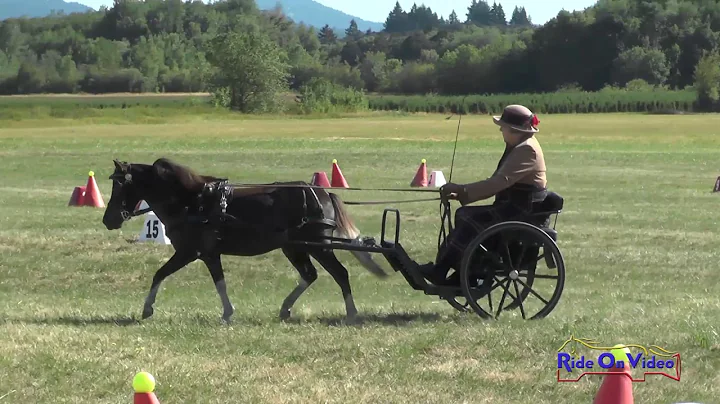 065C Dorothy Whiteman Training Single VSE Cones Inavale CDE July 2017