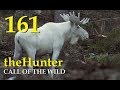 TheHunter Call of the Wild  ЛОСЬ  АЛЬБИНОС # 161