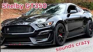 SHELBY GT350 with StainlessWorks LT headers! Sounding absolutely INSANE!