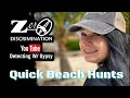 Quick Beach Hunts