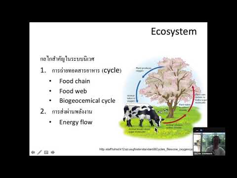 651105 ecosystem animal and plant community Part1