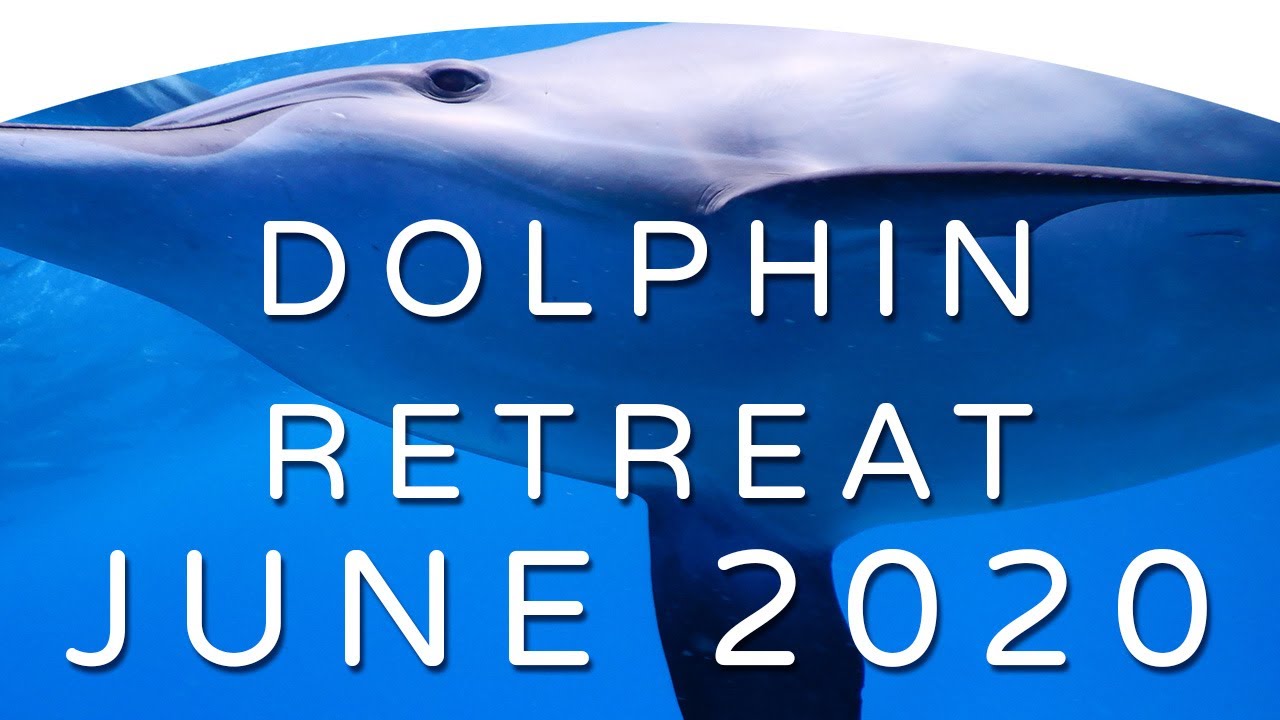 2020 Diving With Dolphins