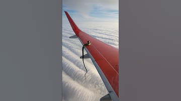 Snake dis balanced the Emirates 😱 | snake on aeroplane | #python #snake #shorts