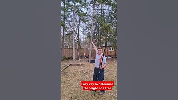 How to find the height of a tree & where it will fall #tree #treeremoval #diytips #tools #tooltips