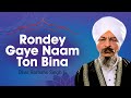 Bhai Harbans Singh Ji - Rondey Gaye Naam Ton Bina (Vyakhya Sahit)