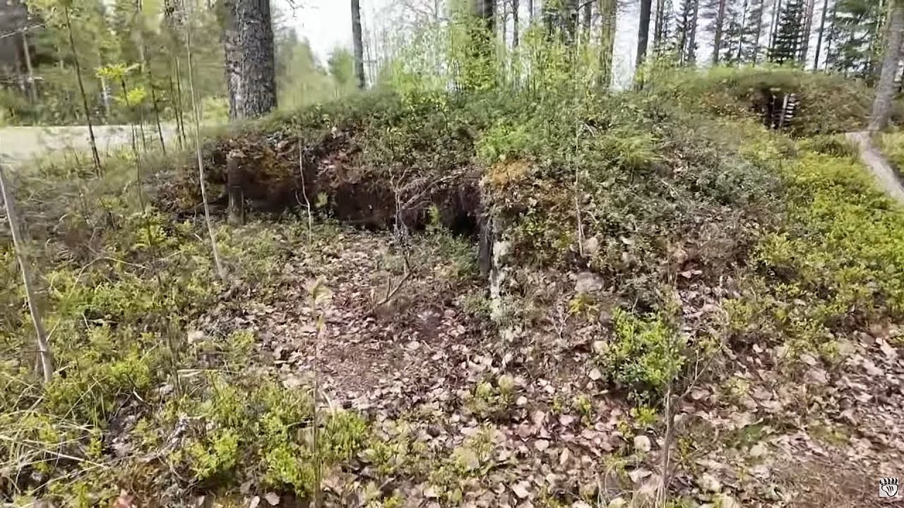 Kuhmon taistelupaikoilla osa5 Palo-aho ja Kontionpuisto