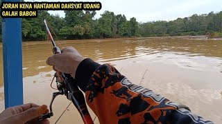 Download Lagu Mancing udang galah kali ini sungguh luar biasa dapat nya besar-besar capit biru dan capit kuning MP3