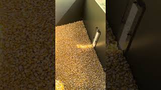 Tractor supply’s treeline 350Lbs deer feeder update.. (we’re having issues)