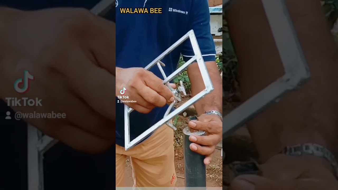 kanuwak - කනුව 