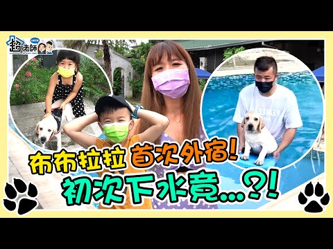 【老超與狗🐶】布布拉拉游泳初體驗！學到新技能了？ 一家四口衝墾丁寵物民宿！【超老師】