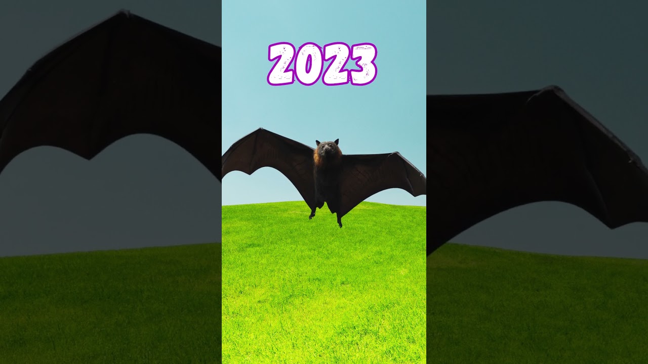 2023 Bat vs 5000 bce Bat