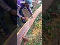 Measuring and Marking Timber by Hand | Real Woodworking Process