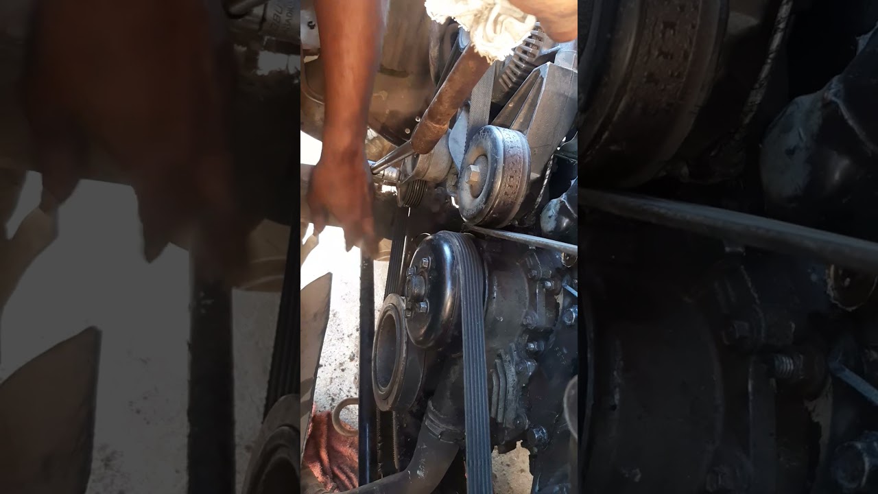 CORREIA POLY V RANGER