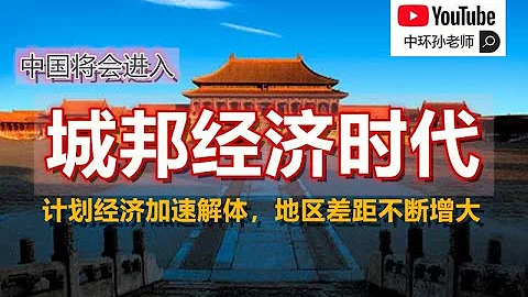 孙老师说财经｜重回计划经济将是压垮骆驼的最后一根稻草，计划经济将加速中国现行制度的解体，建立城邦联合体将成为发达地区的出路 - 天天要闻