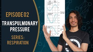 Transpulmonary pressure, Intrapleural pressure , Intraalveolar pressure : Episode 02