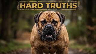 7 Hard Truths Every Boerboel Dog Owner Knows by Heart
