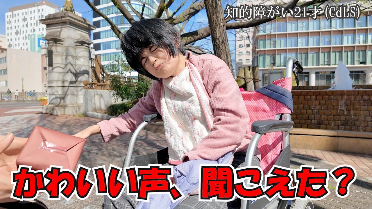 目をつぶってるけど花見中！？“かわいい声”が聞けました