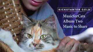 MusicforCats Album Two on Kickstarter Gold