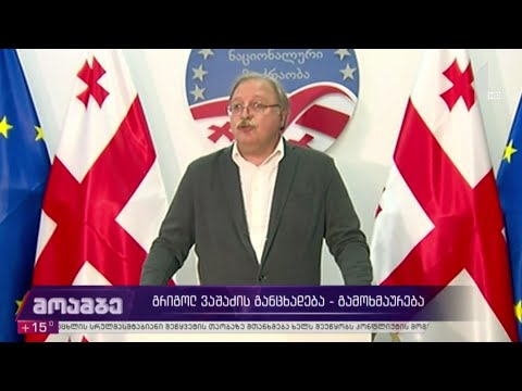 გრიგოლ ვაშაძის განცხადება - გამოხმაურებები