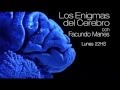 Los Enigmas del Cerebro - Nueva temporada