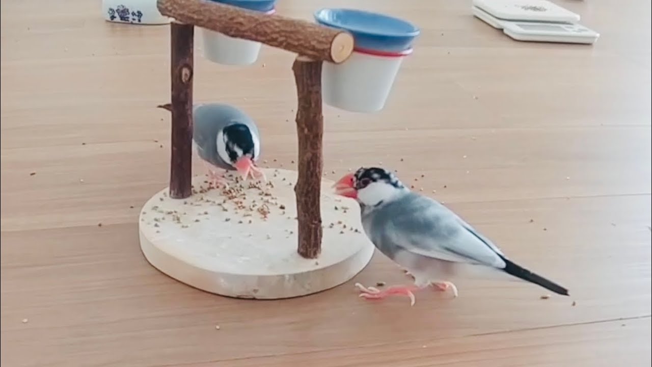 8月22日に撮ったものです