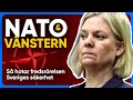 Socialdemokraterna hycklar om nato