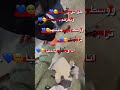 حالات ترا خوالي شيوخ وبعزهن تربيت 