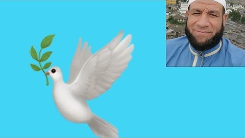 الفاتحة وأول سورة البقرة. سامح السعيد