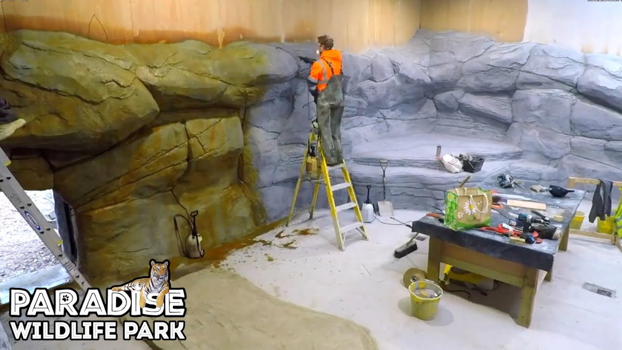 Creating An Artificial Habitat For Lions YouTube