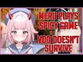 Meru's Drunken Shenanigans: Playing the Playboy Game