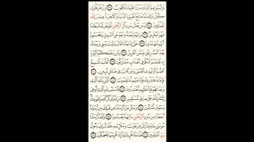 سورة الزخرف الصحيفة رقم 492 بصوت المقرئ فضيلة الشيخ د.أحمد عبد الرحمن الخجا الدمشقي الشافعي 🌸