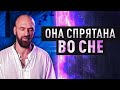 Через сон можно активировать эту способность.. Станислав Казаков