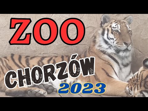 ZOO  Chorzów 2023