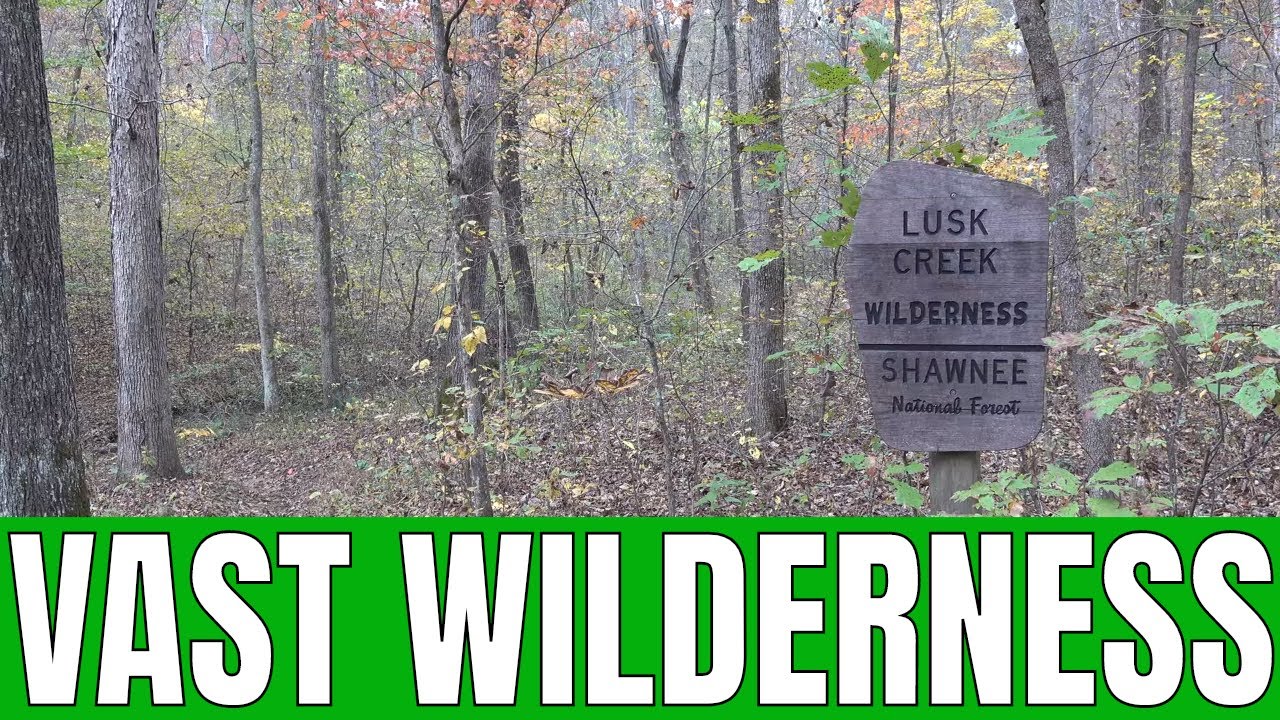 Lusk Creek Wilderness is so Vast and Wild!