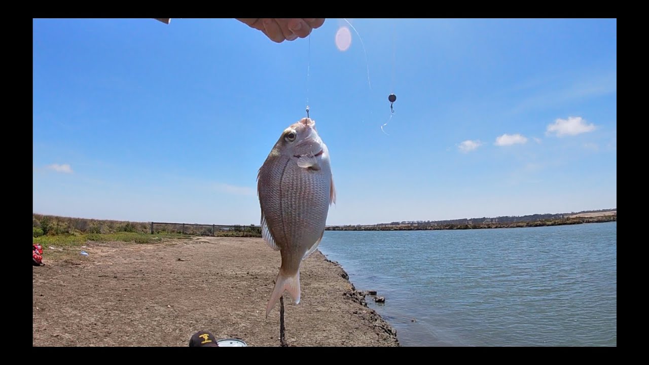 Barwon Heads Fishing + Mixed Bag (Fishing ep13) YouTube