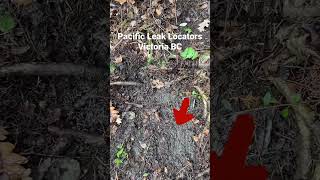Another week another leak. Tracer gas leak detection.