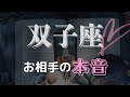 【ツインレイ】双子座｜大きな自分の勘違いに気づいたお相手⚠️
