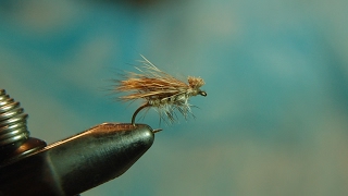 FLY TYING- ELK HAIR CATSKILL CADDIS VARIATION