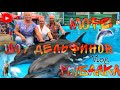 VLOG: Рыбалка на азовском море | Поход в дельфинарий | Набережная | Ейск 2020