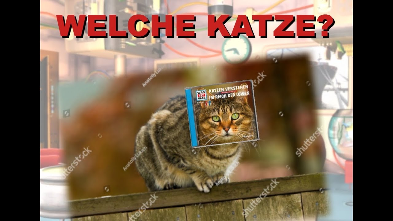 Wem gehört die Katze? WAS IST WAS Katzen verstehen: Cover-Provenienz
