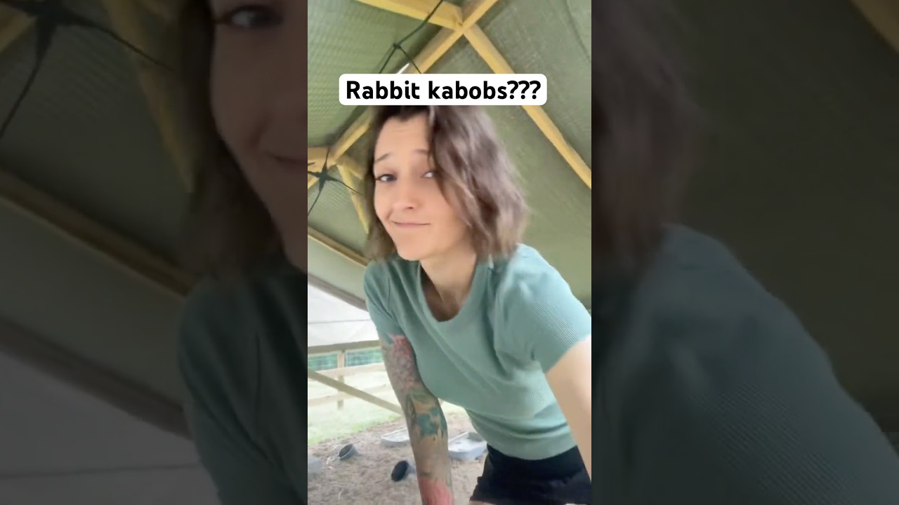 Here is a few tips for raising meat rabbits