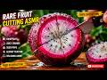 Rare Fruit Cutting ASMR ✨ Ultra Satisfying Crisp Cuts & Juicy Sounds #shorts