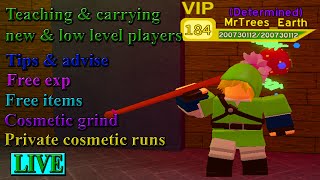 The adviser is here to help you solo!(Roblox Dungeon Quest)