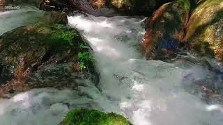 Healing water sounds that will make you sleepy in 15 minutes | nature sounds to calm the mind