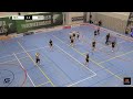 Maalikooste: FB Factor - Blackbirds (Inssi-Divari N)